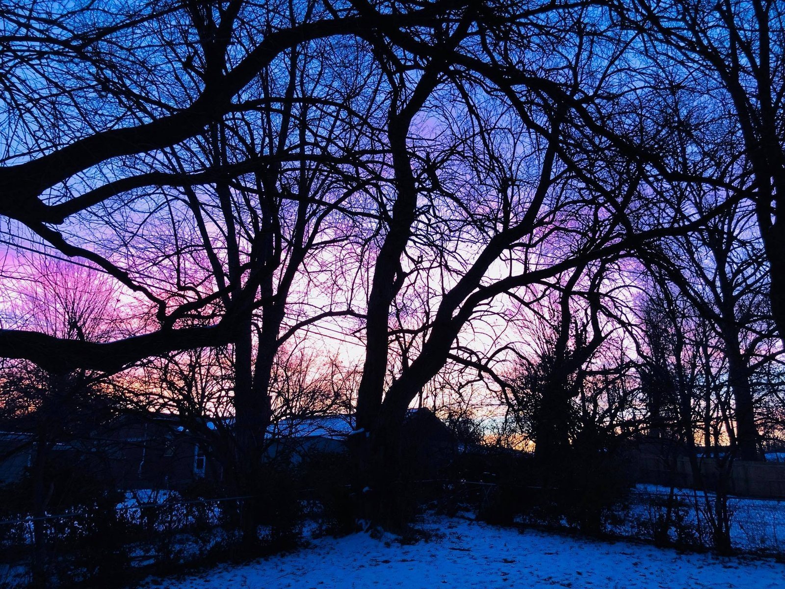 Sunrise