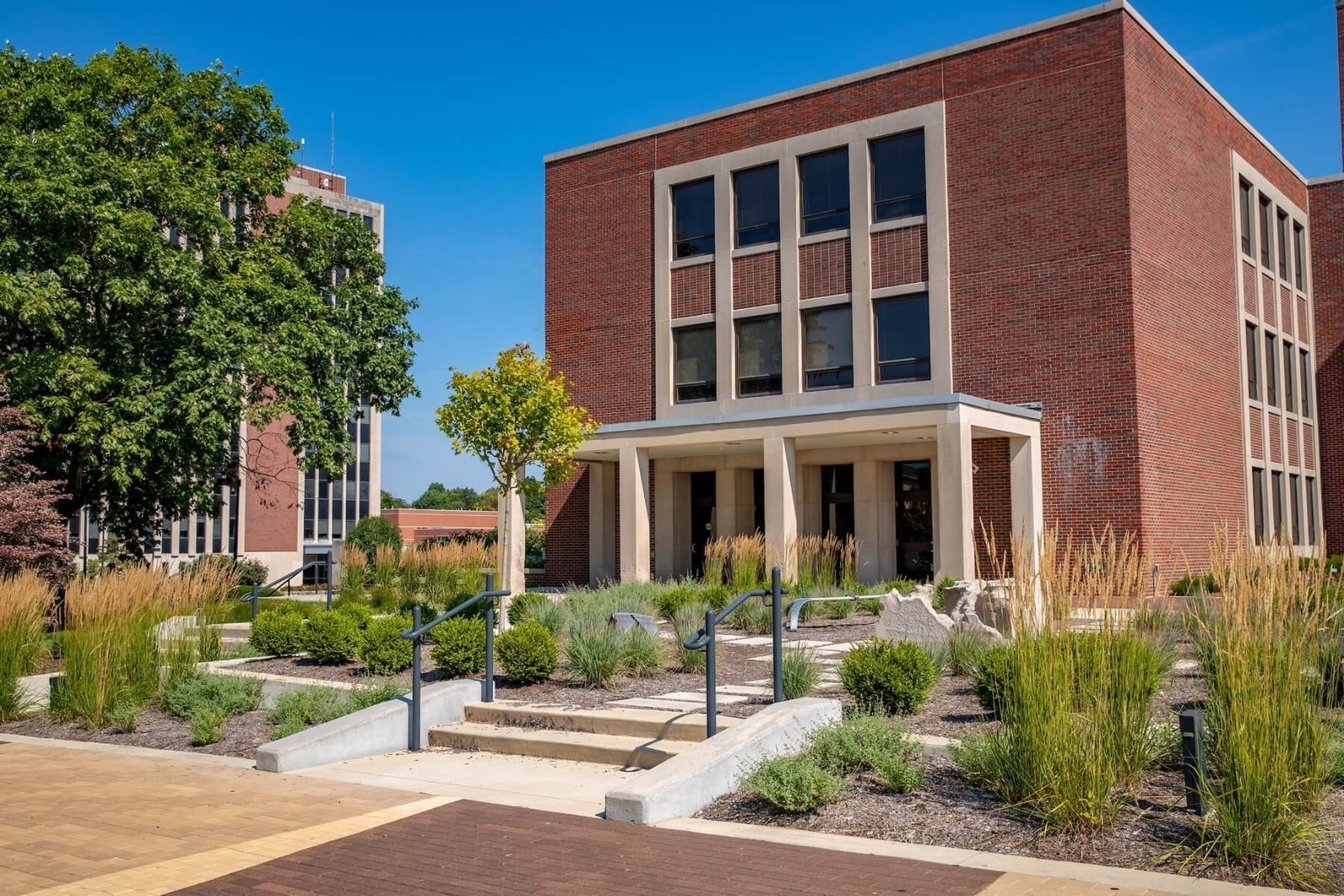 DEI at BSU